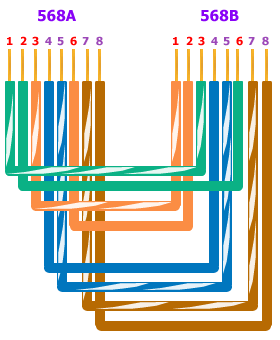 Ethernet Cable Wiring on Category 5 Wiring Scheme Straight Through Cable Vs Crossover Cable