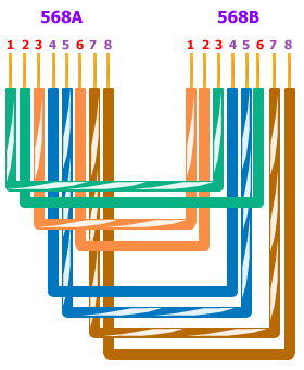 Ethernet Wiring on Category 5 Wiring Scheme   Straight Through Cable Vs  Crossover Cable