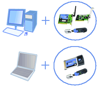 Network Adapter