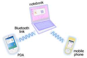 PAN (Personal Area Network)